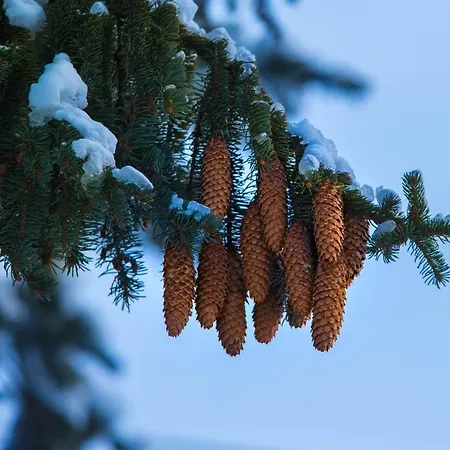 Apartament Next To Gondola Stylish And Charming *